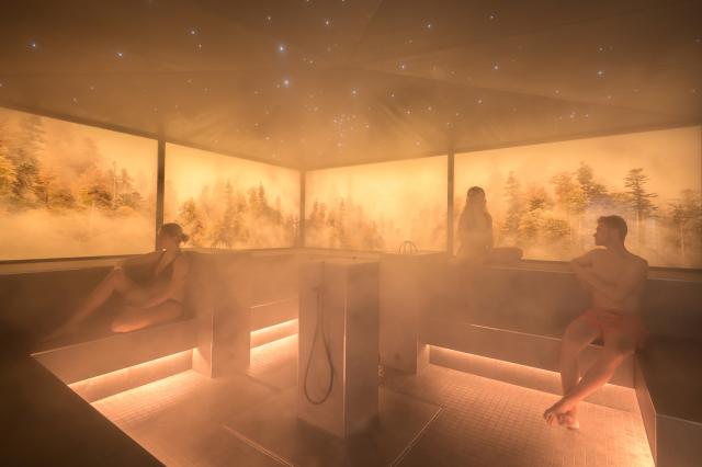 Blick in das Dampfbad unter oberstdorfer Sternenhimmel